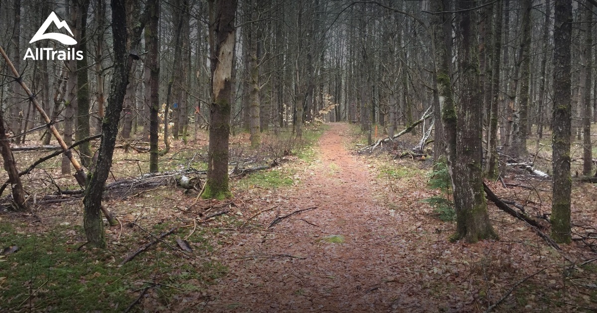 Best Hikes and Trails in Spaulding Woods | AllTrails