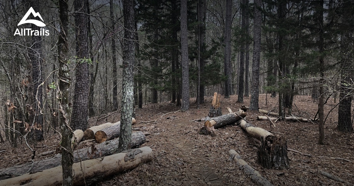 Best bird watching trails in Trace - Parks Us Mississippi Trace State Park 10163789 20201214173632000000000 1200x630 3 41607967526 