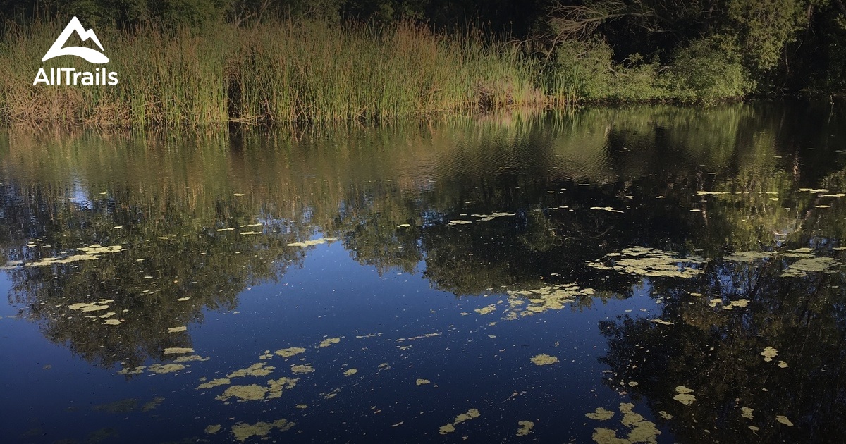 Best Trails in Frog Pond Wetland Preserve California AllTrails