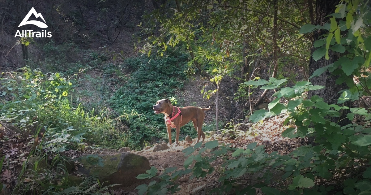 Best Trails in Stunt Ranch Santa Monica Mountains Reserve - California ...