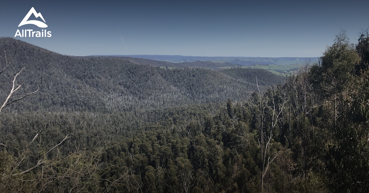 Die Besten Laufwege in Murrindindi River Natural Features and Scenic ...