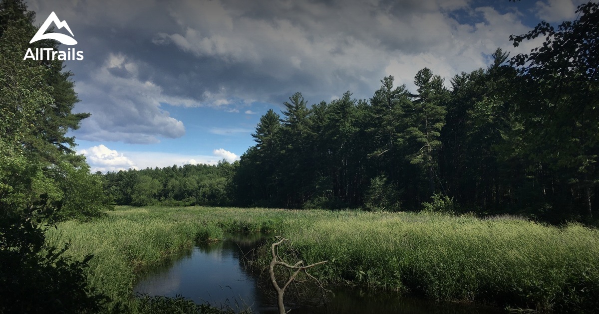 Best Trails in Stony Brook Conservation Land Massachusetts AllTrails