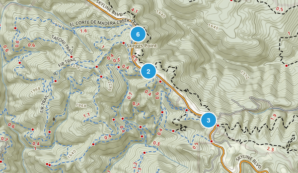 el corte de madera mountain biking