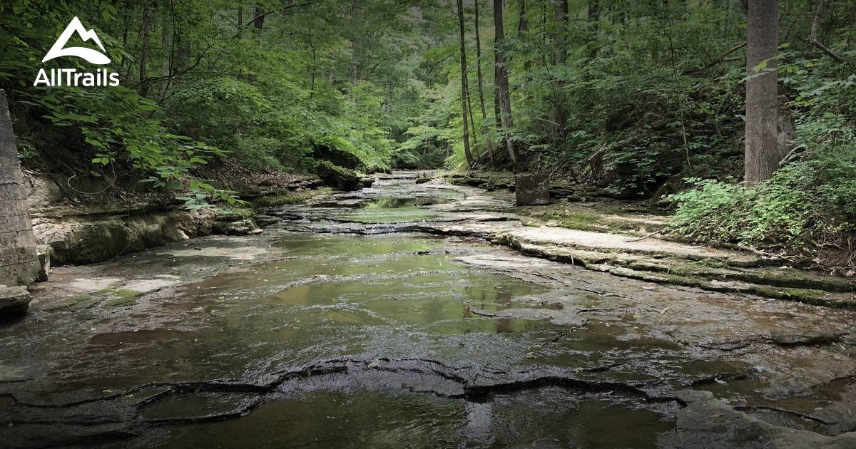 Best Trails in Clifty Falls State - Parks Us Indiana Clifty Falls State Park 10164113 20181119103111 1200x630 3 41542664468 
