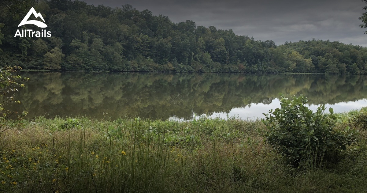 Best hikes and trails in Toiter Creek Reservoir Park | AllTrails