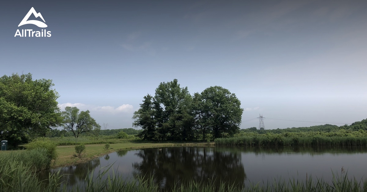 Best Trails in Supawna Meadows National Wildlife Refuge - New Jersey