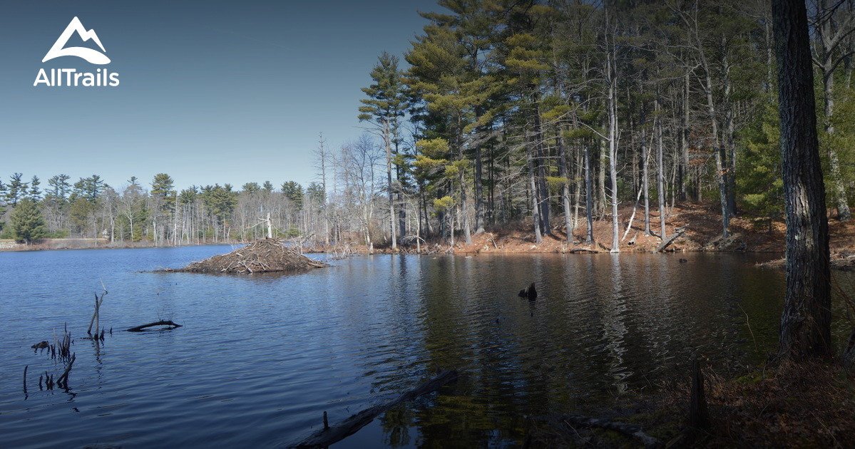 Best hikes and trails in Boxford State Forest | AllTrails