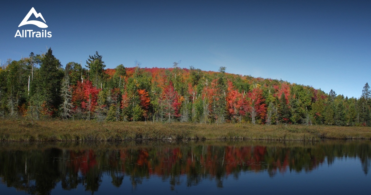 Escape to the North Woods: Your Guide to Minnesota's Finland State Park Campground