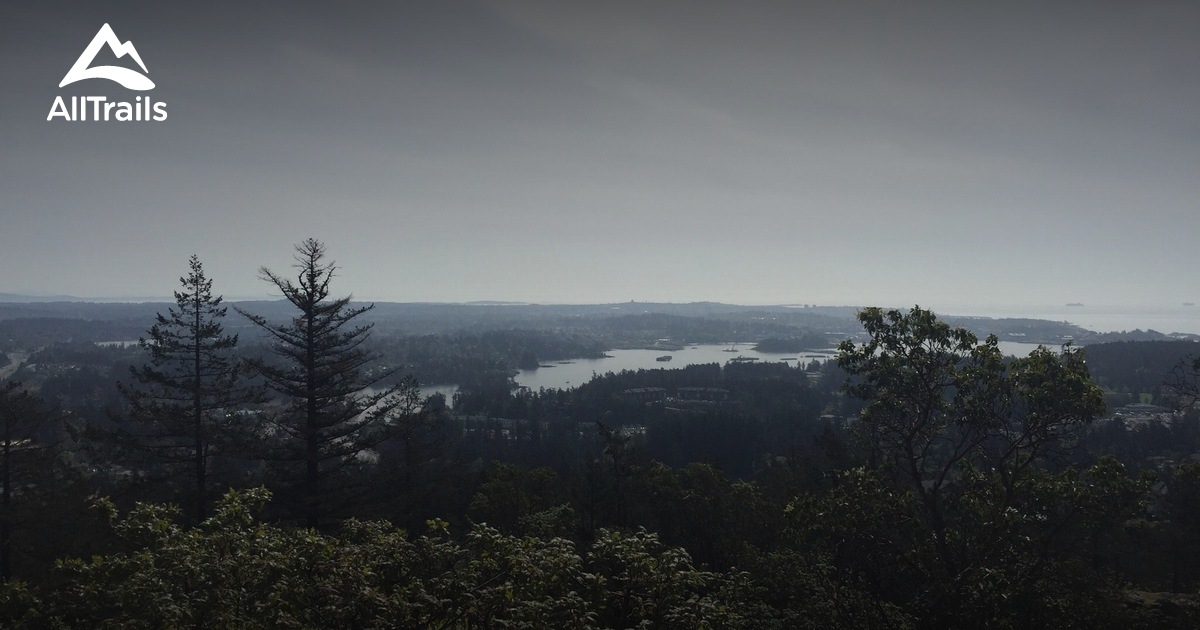 Best hikes and trails in Mill Hill Regional Park AllTrails