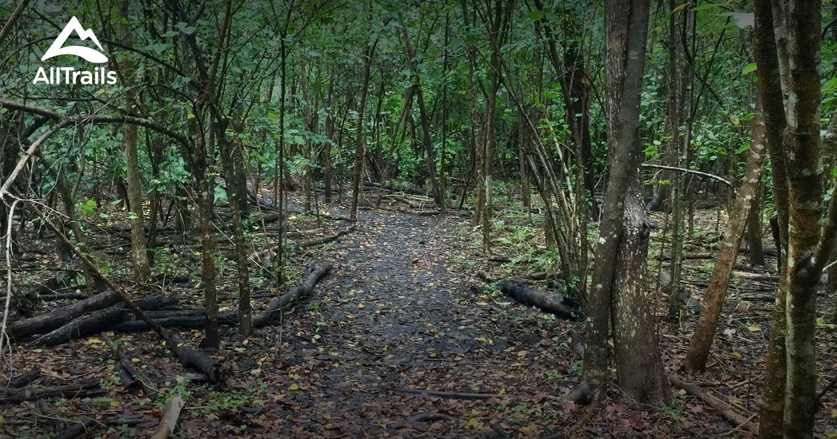 Best Trails in Audubon Louisiana Nature Center Louisiana AllTrails