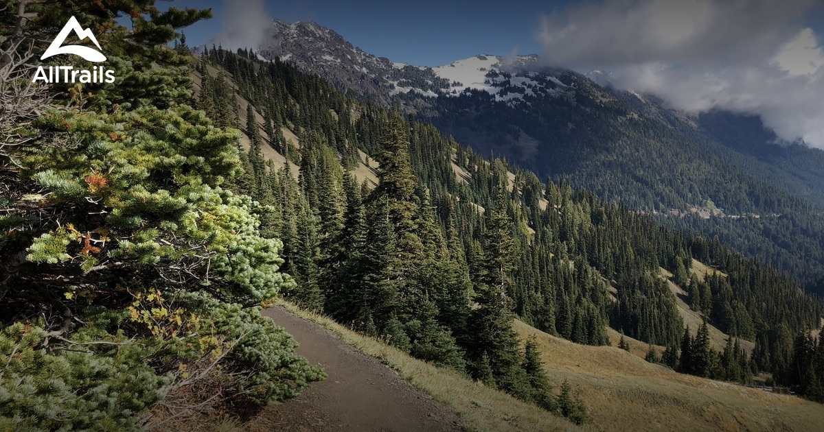 Best hikes and trails in Hurricane Mountain Common Land AllTrails