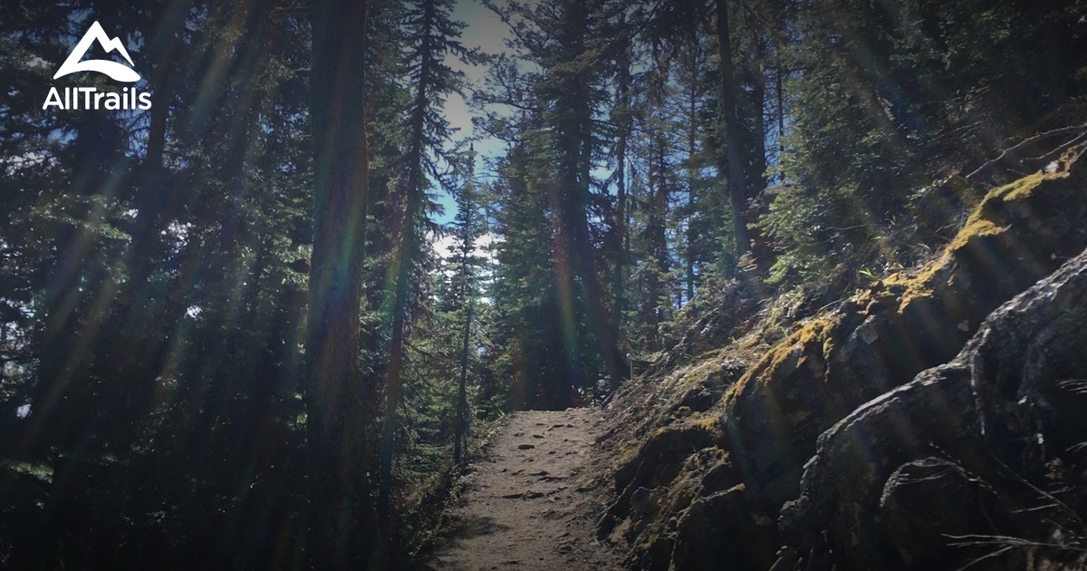 Best mountain biking trails in Mount Swansea Recreation Site | AllTrails