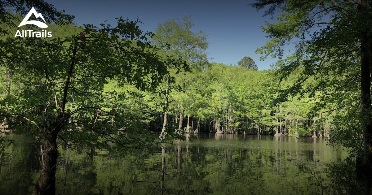 2023 Best Wheelchair Friendly Trails in Mazarick Park AllTrails