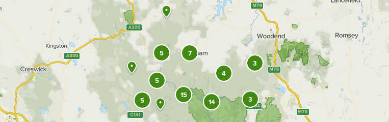 Wombat State Forest Trail Map Best 10 Trails In Wombat State Forest | Alltrails