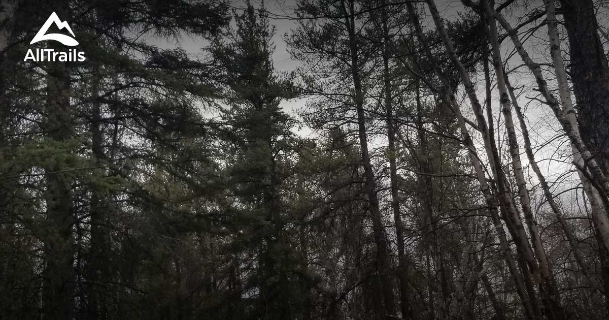 Best hikes and trails in Eb's CrossCountry Ski Trails AllTrails