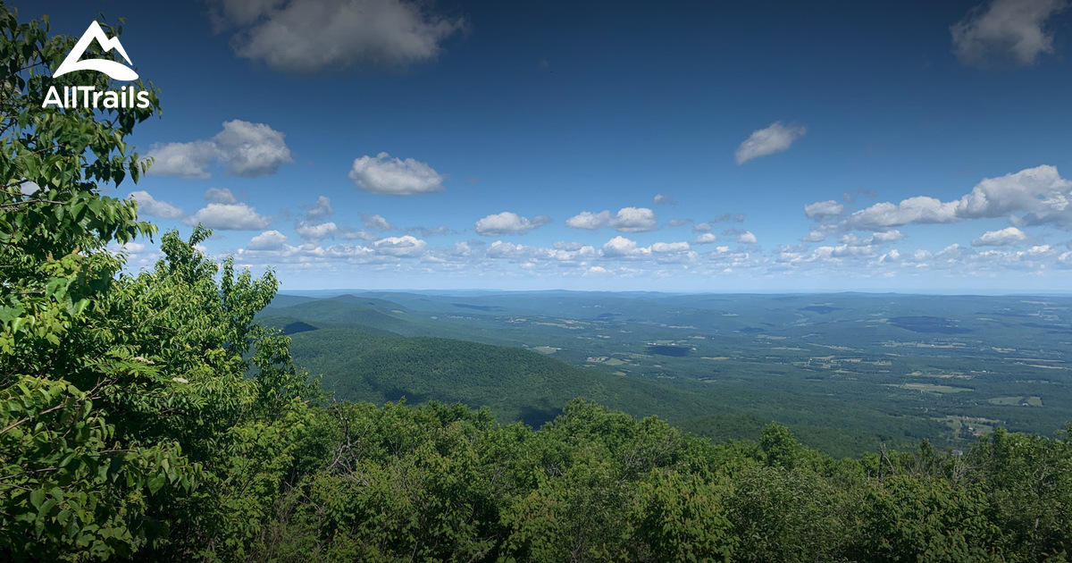 Best hikes and trails in Elm Ridge Wild Forest | AllTrails