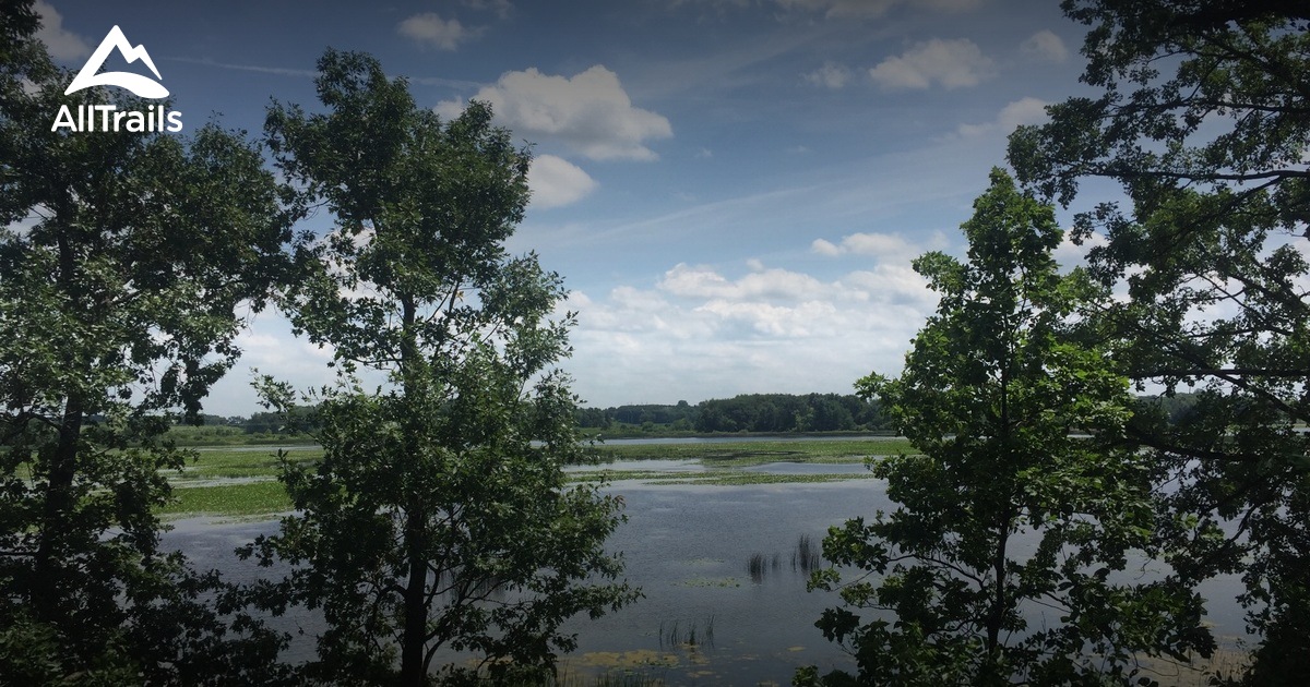 Best hikes and trails in Dorothy Carnes Park West | AllTrails