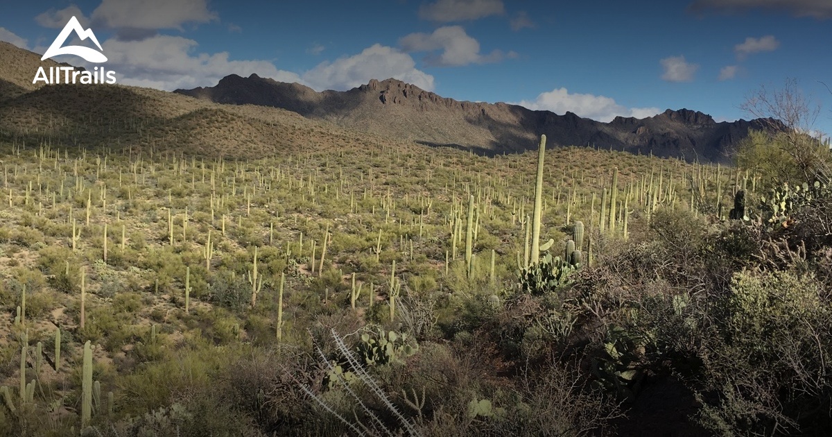 Best Trails in Tucson Mountain Park Arizona AllTrails