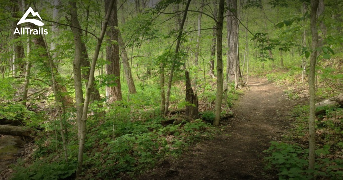 Best Trails in Detweiller Park - Illinois | AllTrails