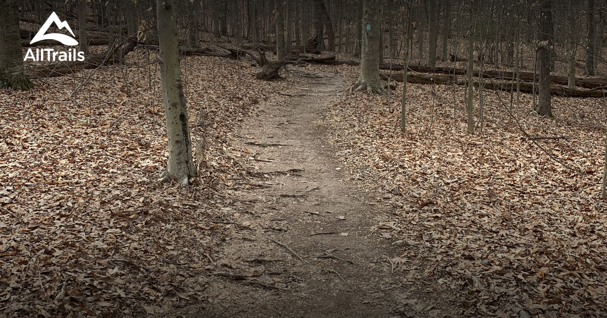 Shades State Park Trail Map / Best Trails in Shades State Park - Indiana | AllTrails - If you are a hunter this is your home away from home.