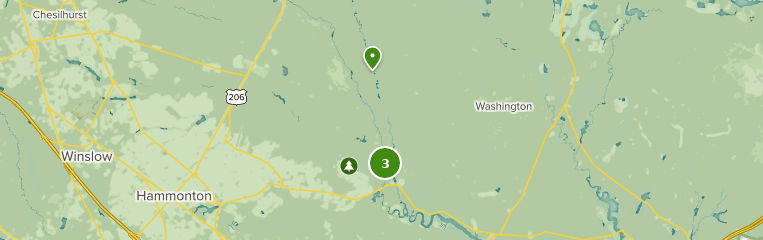 Best Trails in Pinelands National Reserve - New Jersey | AllTrails