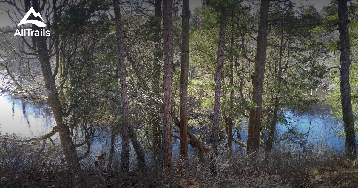 Best Trails in Pinelands National Reserve - New Jersey | AllTrails