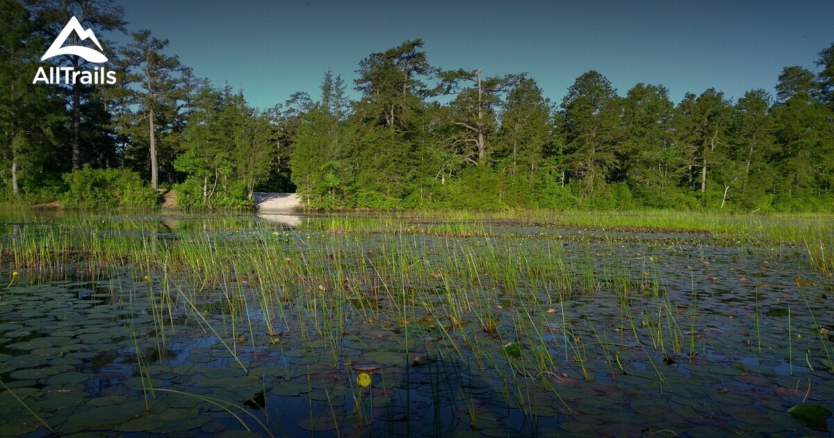 Best trails in Pinelands National Reserve, New Jersey | AllTrails