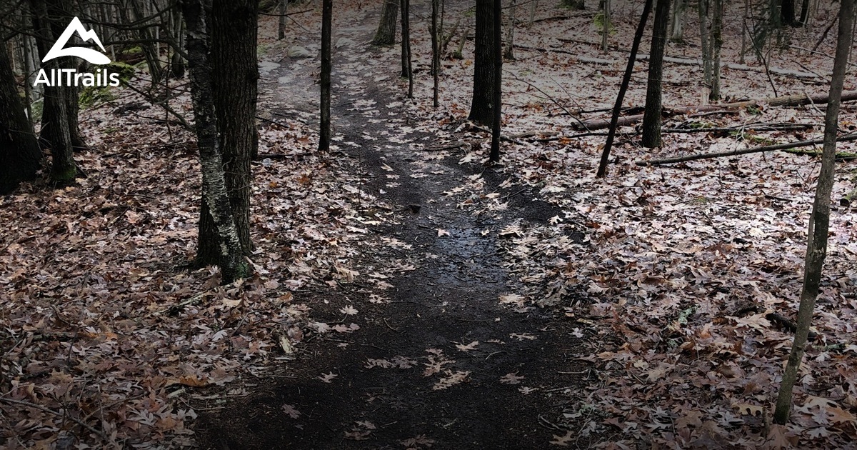 Best hikes and trails in Gurney Lane Recreation Area AllTrails