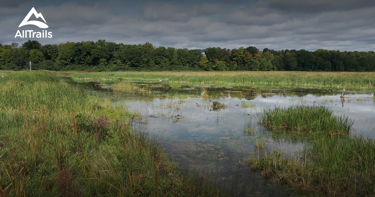 Best hikes and trails in Beaver Meadow Wildlife Management Area AllTrails