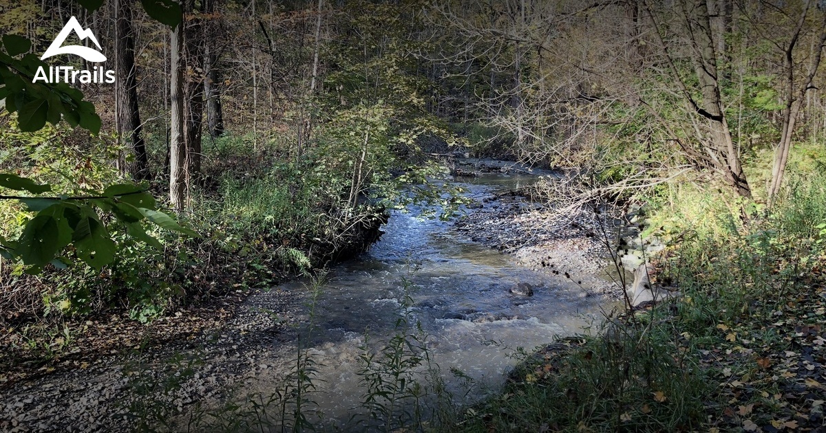 Derrydowns Park Activities