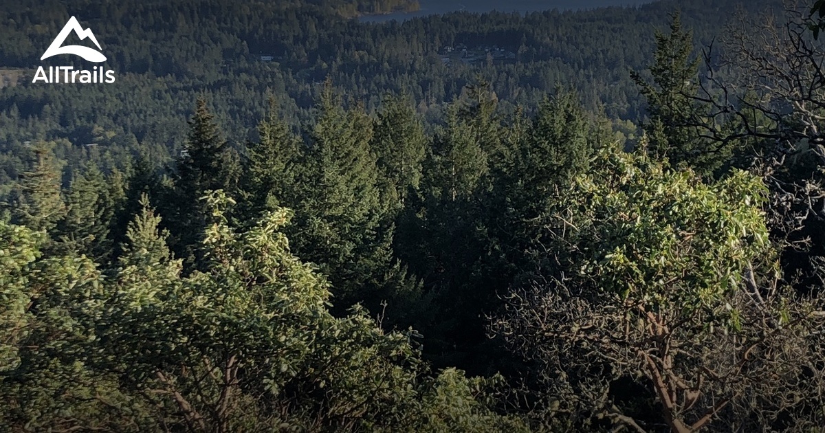 Best Trails in Cobble Hill Mountain Regional Recreation Area British