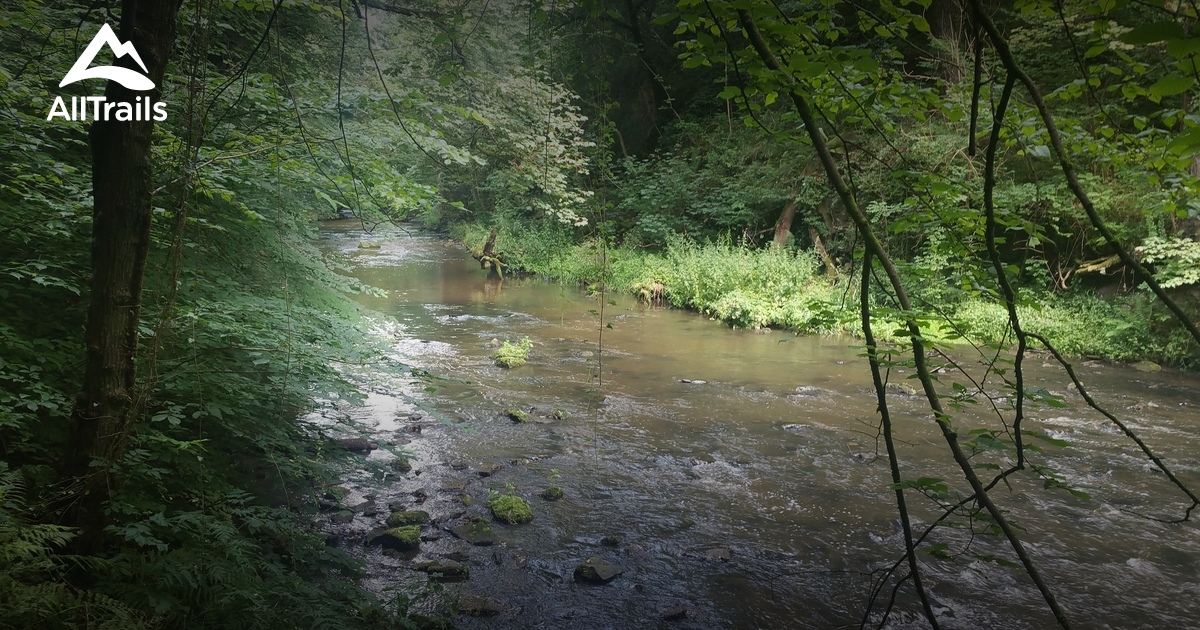 Best river trails in Strathclyde Country Park | AllTrails