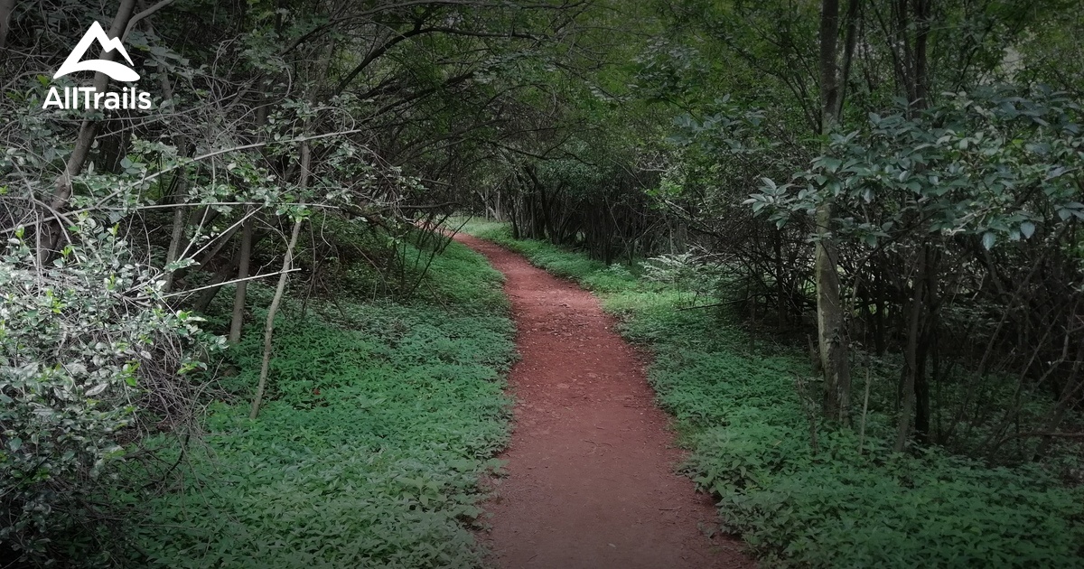 Best forest trails in Moreleta - Parks South Africa Gauteng Moreleta Kloof Nature Reserve 10167031 20210614080625000000000 1200x630 3 41623669898 