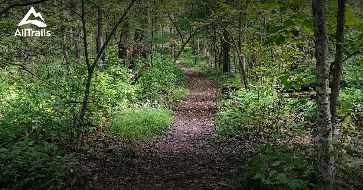 Best 10 Trails in Kincaid Woods | AllTrails