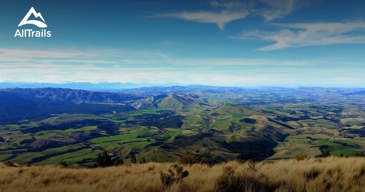 Best Trails in Ashley Forest Canterbury, New Zealand AllTrails