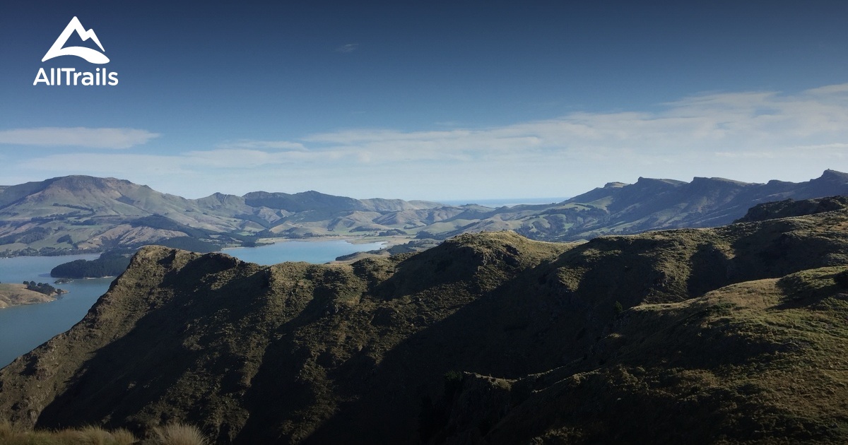 Best trail running trails in Mount - Parks New Zealand Canterbury Mount Vernon Farm Park 10167377 20210621080701000000000 1200x630 3 41624266467