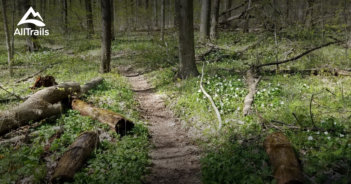 Best Trails in Bendix Woods County Park - Indiana | AllTrails