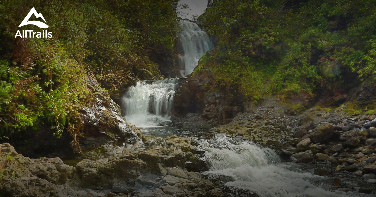 Die Besten Wasserfallrouten in - Parks Hawaii Maui Puaa Kaa State Park 10167559 20210225080707000000000 1200x630 3 41614253755 