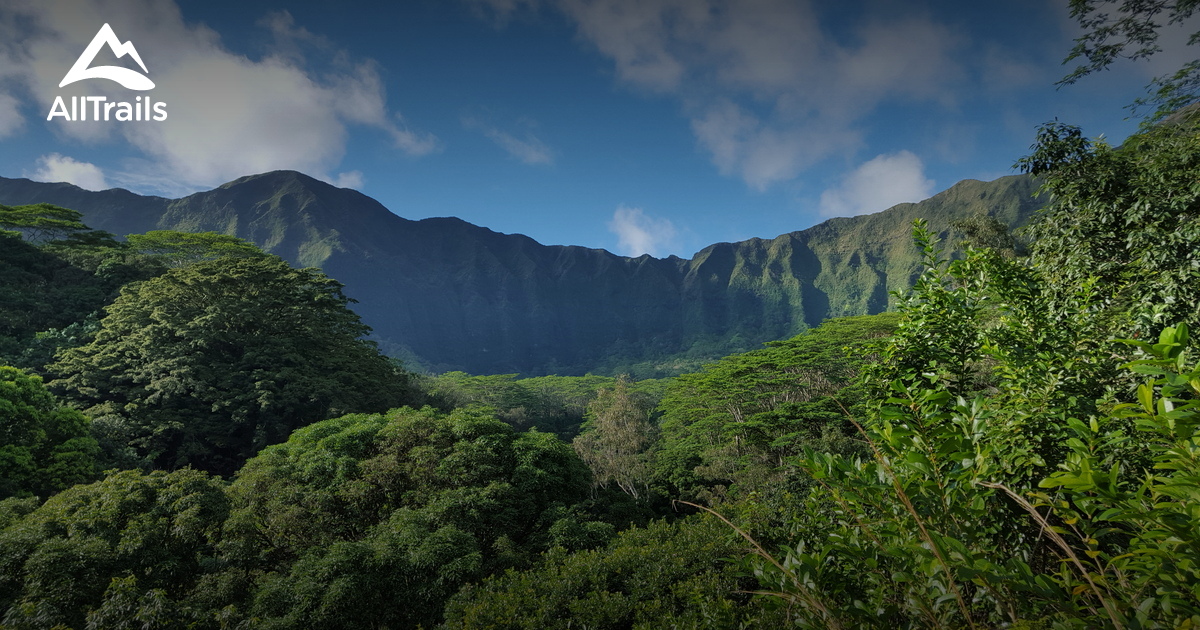 Best Trails in Waimanalo Forest Reserve Oahu, Hawaii AllTrails