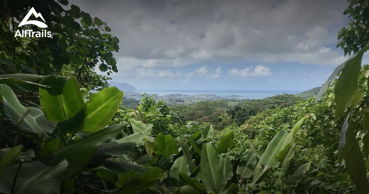 Best Trails In Nu Uanu Pali State Wayside Oahu Hawaii