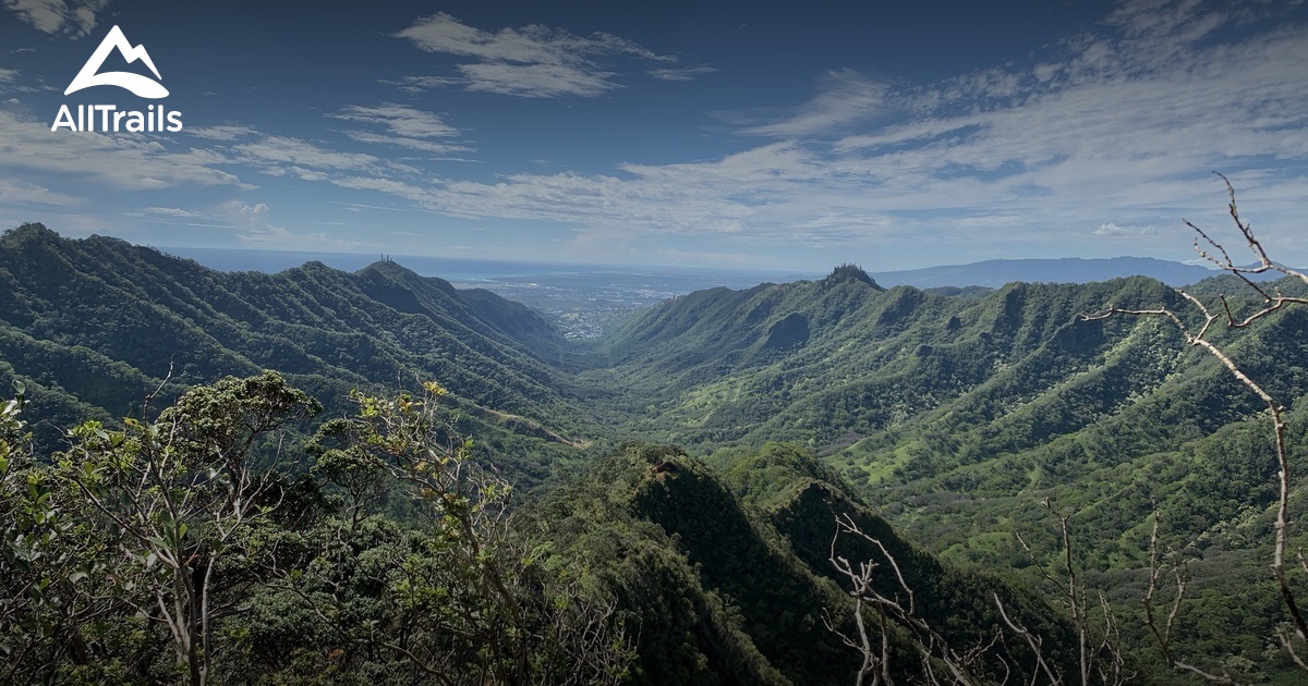 10 Best forest trails in Honolulu Watershed Forest Reserve | AllTrails