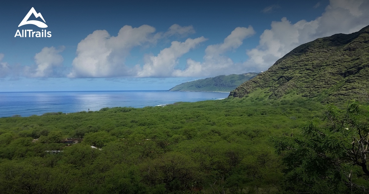 Best hikes and trails in Makua Keaau Forest Reserve | AllTrails