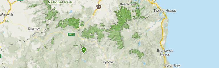 Best Trails in Gondwana Rainforests of Australia World Heritage Area ...