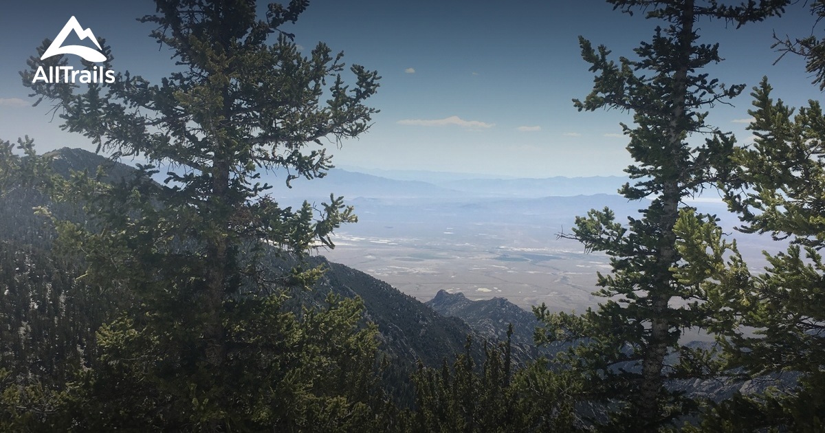 Best Trails in Deep Creek Mountains Wilderness Study Area Utah