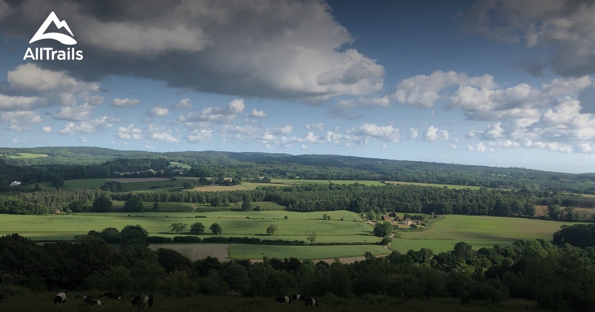 Best forest trails in National Trust's Denbies Hillside, Surrey ...