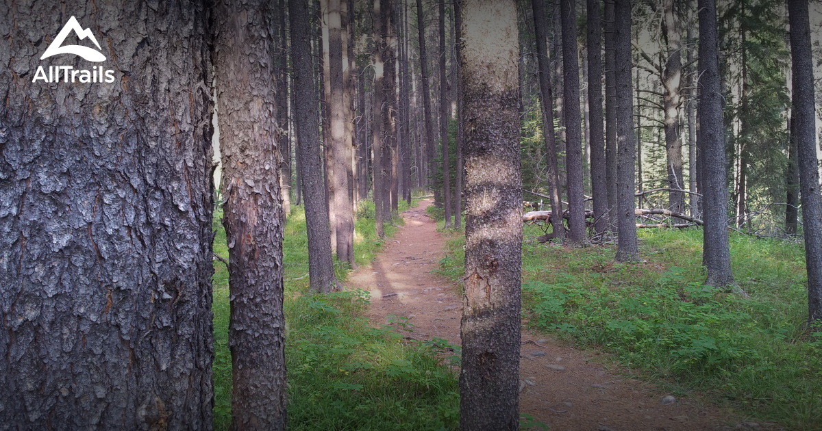 10 Best easy trails in Cypress Hills Interprovincial Park (Centre Block
