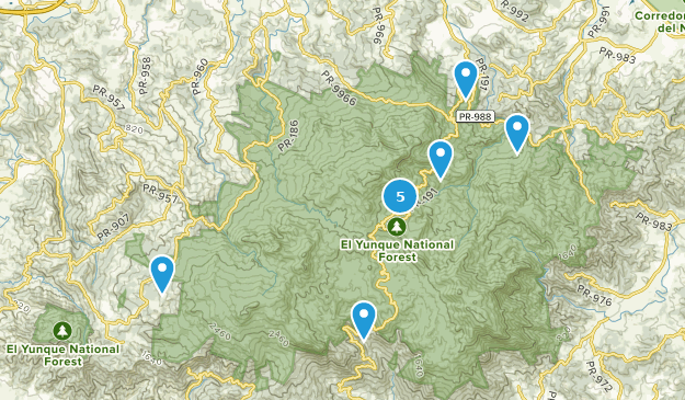 Best Trails in El Yunque National - Parks Puerto Rico East Region El Yunque National Forest 10168354 20190712214003 625x365 1 