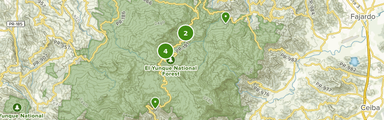 Best Trails in El Yunque National Forest - East Region, Puerto Rico ...