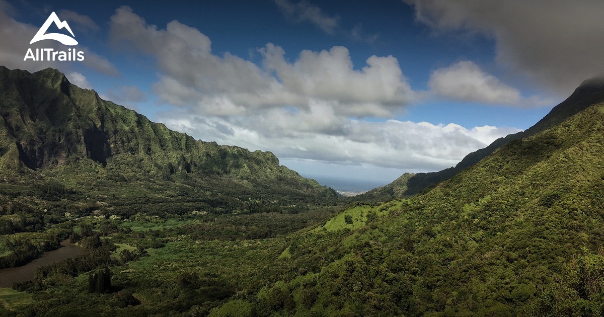 Best Trails in El Yunque National - Parks Puerto Rico East Region El Yunque National Forest 10168354 20200625092714000000000 1200x630 3 41593114977 