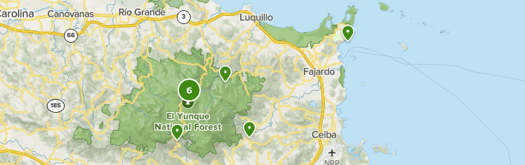 Best Trails in El Yunque National - Parks Puerto Rico East Region El Yunque National Forest 10168354 20200625092714000000000 763x240 1 